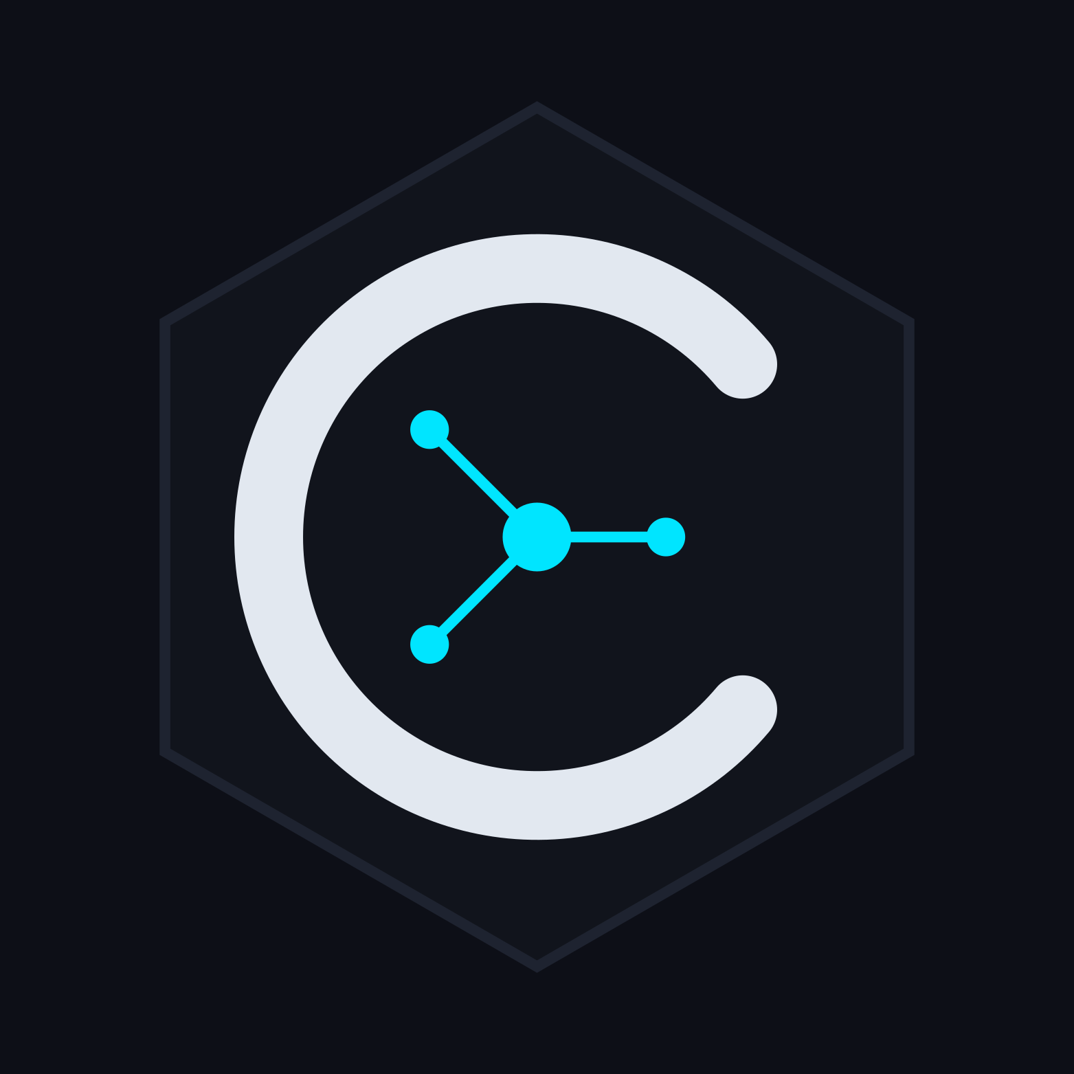CEREBELLUM